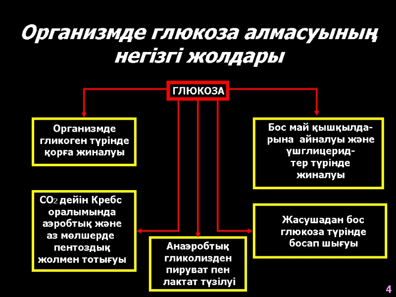 Организмде глюкоза алмасуының негізгі жолдары ГЛЮКОЗА Организмде гликоген түрінде қорға жиналуы СО2 дейін Кребс